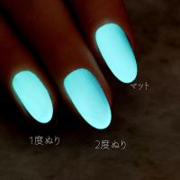 rieugel tocar カラージェル 2.5g L435 パンチャパープル
