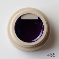 rieugel カラージェル 2.5g 485 パンジードロップ