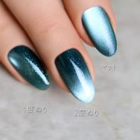 rieugel tocar カラージェル 2.5g Mg024 しーぼん