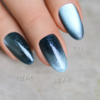 ●rieugel tocar カラージェル 2.5g Mg025 うぉたぼん