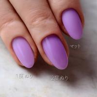 rieugel カラージェル 2.5g N°16S サルヴァジア