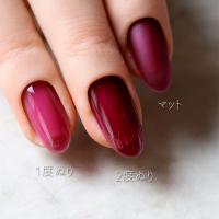 rieugel カラージェル 2.5g N13 アスター